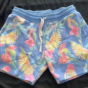 Chubbies Parrot Print Blue Men's Shorts